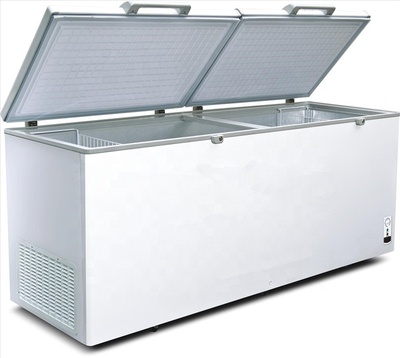 Double top open door big capacity chest freezer